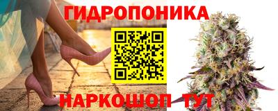 PSILOCYBIN Мариинск