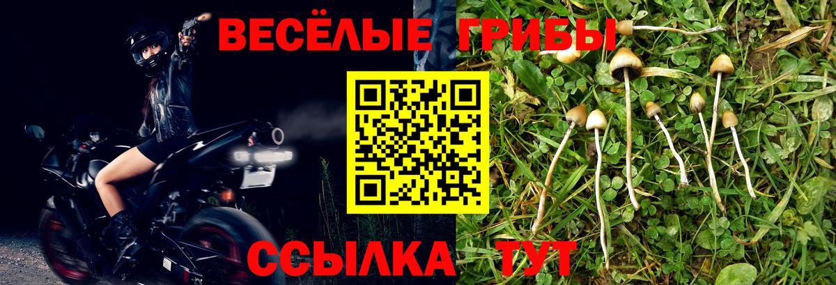 Псилоцибиновые грибы Psilocybine cubensis  Галлюциногенные грибы прущие грибы  купить   Дедовск  Вход с VPN 